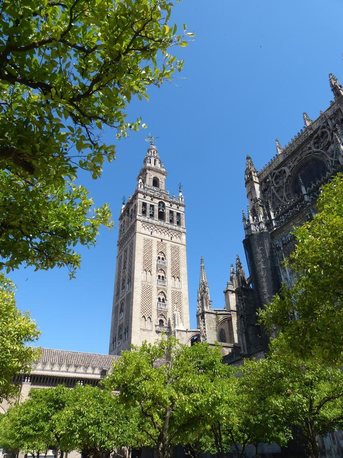 Hostly Acetres 1A Loft In City Center, Comunal Terrace, Fibre,Parking Optional Sevilla Eksteriør bilde